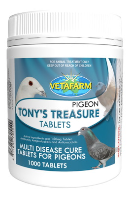 托尼飞鸽全康片