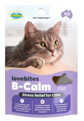 猫类减压功能肉粒